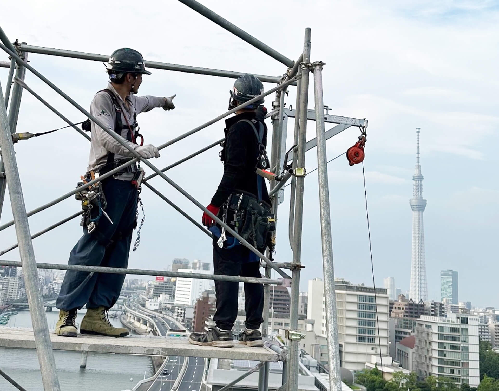 Business 事業紹介